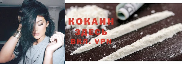 шишки Нефтегорск
