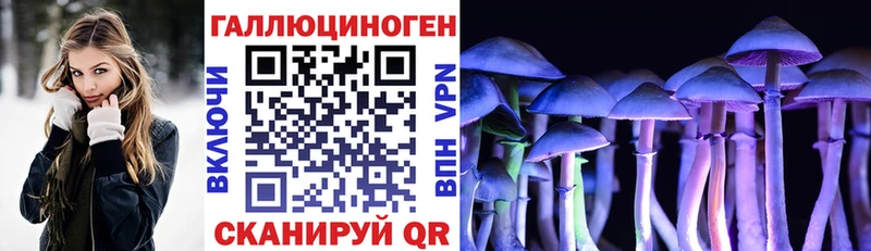 дарнет шоп  Опочка  Псилоцибиновые грибы Psilocybe 